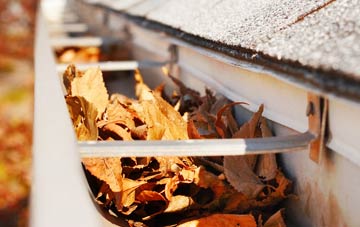 Broadstone gutter cleaning companies